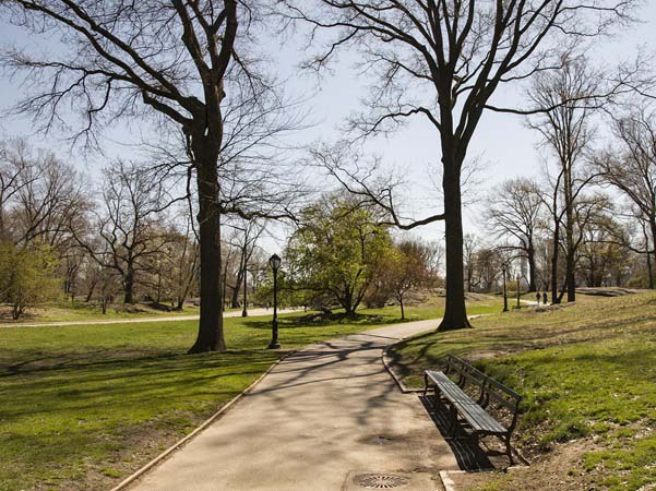 foto van Central Park in New York